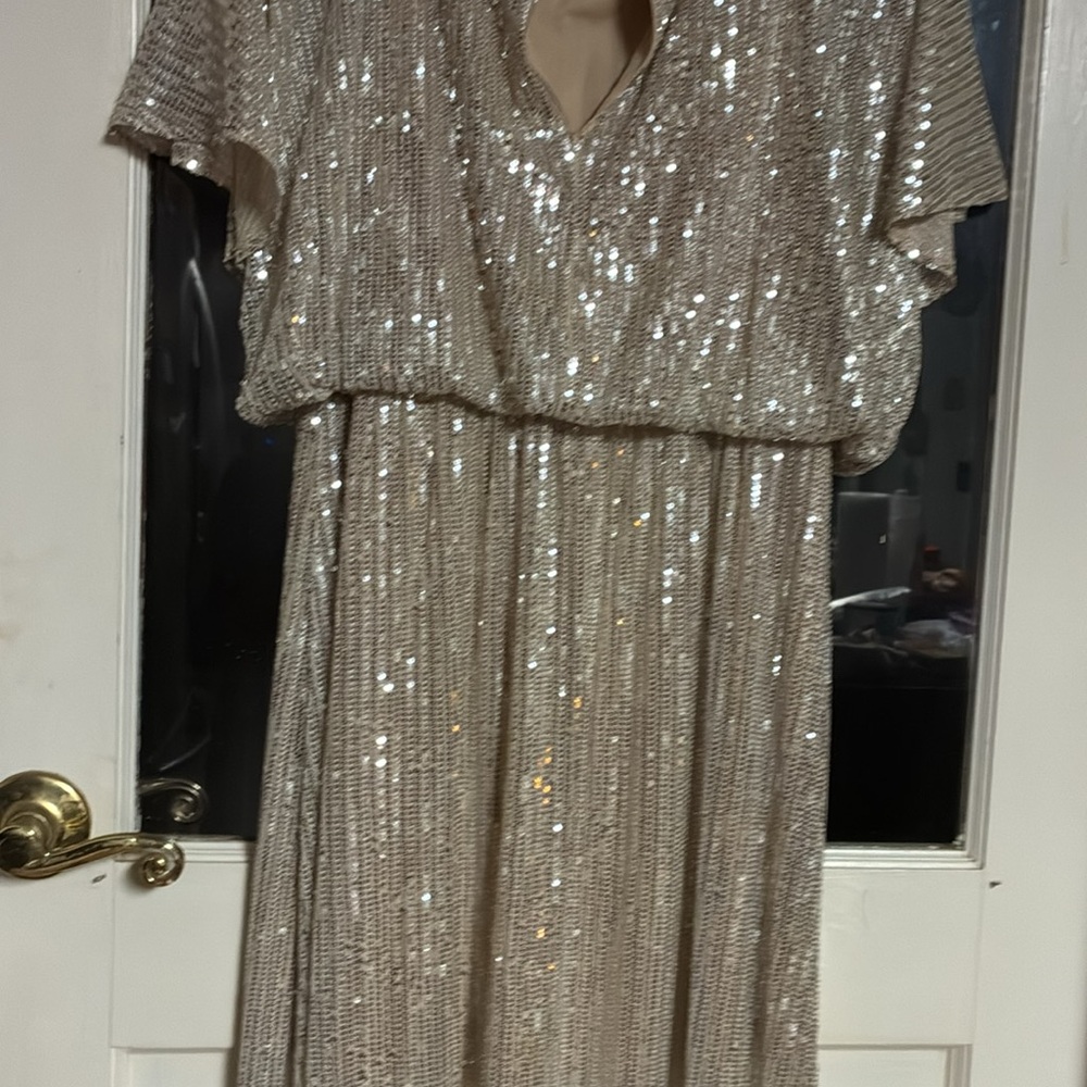 Elegant Sequin Gown - Picture 7 of 10